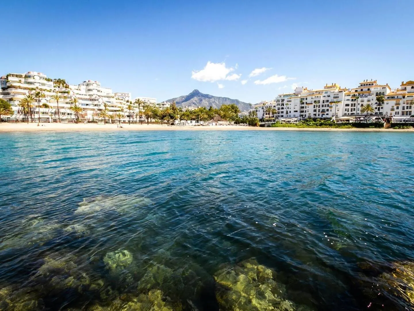 The Clover Boutique Suite Banus Marbella